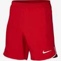 Детские шорты Nike Laser V DH8408-657, прев. 0