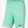 Спортивні ігрові шорти Nike Park III BV6855-354