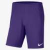 Спортивні ігрові шорти Nike Park III BV6855-547