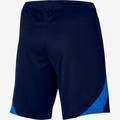 Чоловічі шорти Nike Dri-FIT Strike 23 DR2314-451, прев. 1