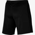 Шорты детские Nike Academy 23 DR1364-010, прев. 1