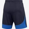 Ігрові шорти дитячі Nike Academy Pro DH9287-451, прев. 1