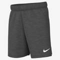 Спортивные шорты Nike Team Club 20 Short CW6910-071, прев. 0