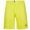 Мужские шорты PUMA King 701701-37, прев. 0