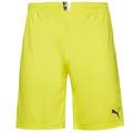 Мужские шорты PUMA King 701701-37, прев. 0