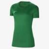 Жіноча футболка Nike Dry Park VII BV6728-341, прев. 0