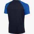 Футболка игровая Nike Academy Pro DH9225-451, прев. 1