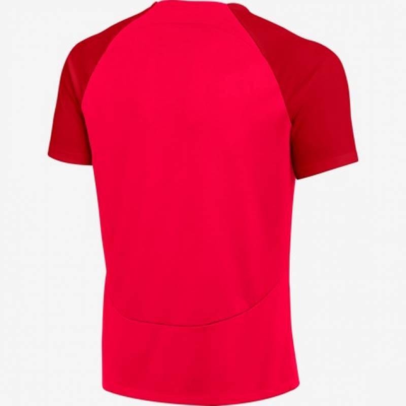 Футболка игровая Nike Academy Pro DH9225-635, рис. 1