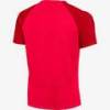 Футболка игровая Nike Academy Pro DH9225-635, прев. 1
