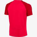 Футболка игровая Nike Academy Pro DH9225-635, прев. 1