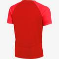 Футболка игровая Nike Academy Pro DH9225-657, прев. 1