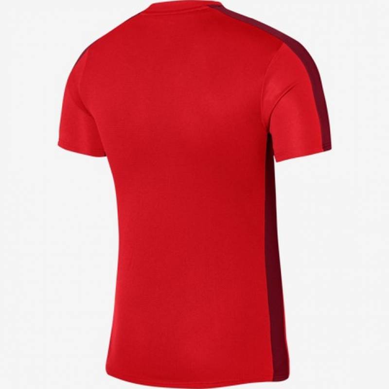 Футболка Nike Dri-Fit Academy 23 DR1343-657, рис. 1