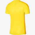 Футболка Nike Dri-Fit Academy 23 DR1343-719, прев. 1