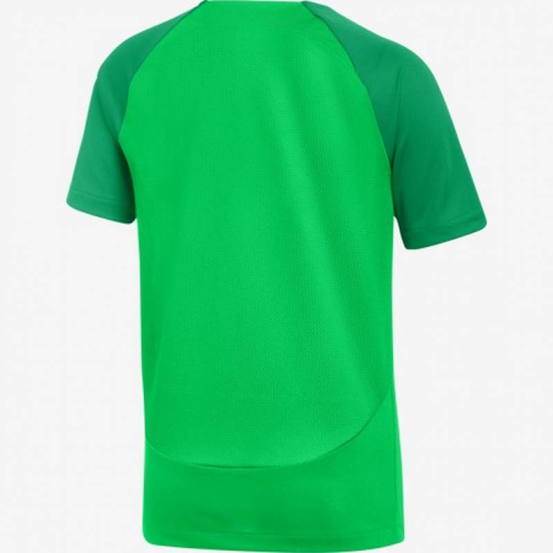 Дитяча футболка Nike Academy 21 DH9277-329, рис. 1