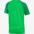 Дитяча футболка Nike Academy 21 DH9277-329, прев. 1