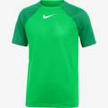 Дитяча футболка Nike Academy 21 DH9277-329, прев. 0