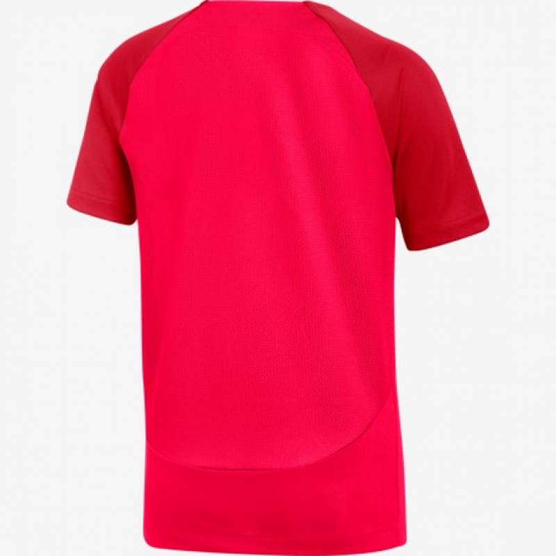 Дитяча футболка Nike Academy 21 DH9277-635, рис. 1
