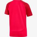 Дитяча футболка Nike Academy 21 DH9277-635, прев. 1