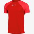 Дитяча футболка Nike Academy 21 DH9277-657, прев. 0