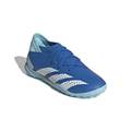 Сороконіжки дитячі Adidas Predator Accuracy.3 TF Jr IE9452 , прев. 2