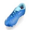 Бутсы детские Adidas Predator Accuracy.4 FxG Jr IE9431, прев. 2
