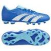 Бутсы детские Adidas Predator Accuracy.4 FxG Jr IE9431, прев. 0