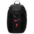 Рюкзак Nike LFC NK ACADEMY BKPK - 2.3 FB2891-010, прев. 0