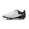 Дитячі бутси Nike JR PHANTOM GX II CLUB FG/MG FJ2600-100, прев. 1
